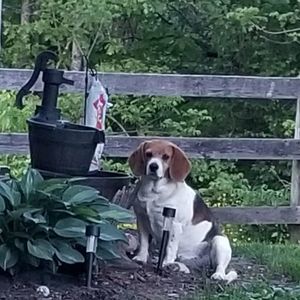 Meet your Posher, Becky